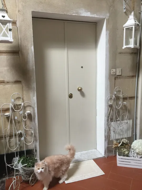 Porte Casa di Silvia — dettaglio 7