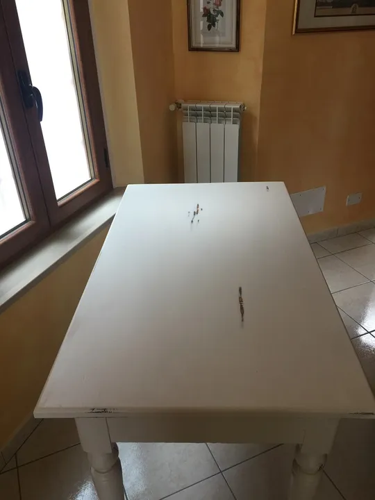 Piccolo tavolo in studio commerciale — dettaglio 2